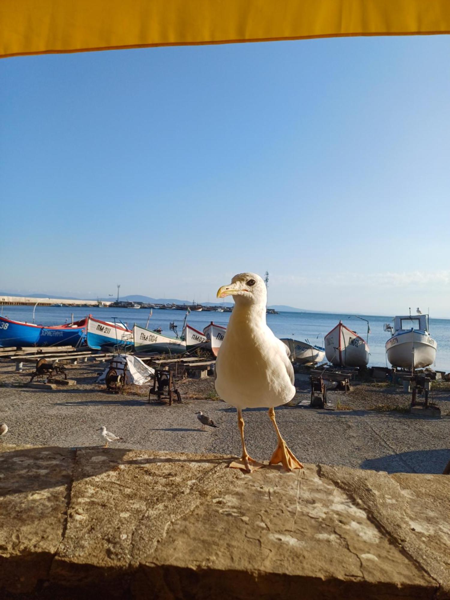 Апартаменти И Стаи За Гости Анхиало Pomorie Esterno foto